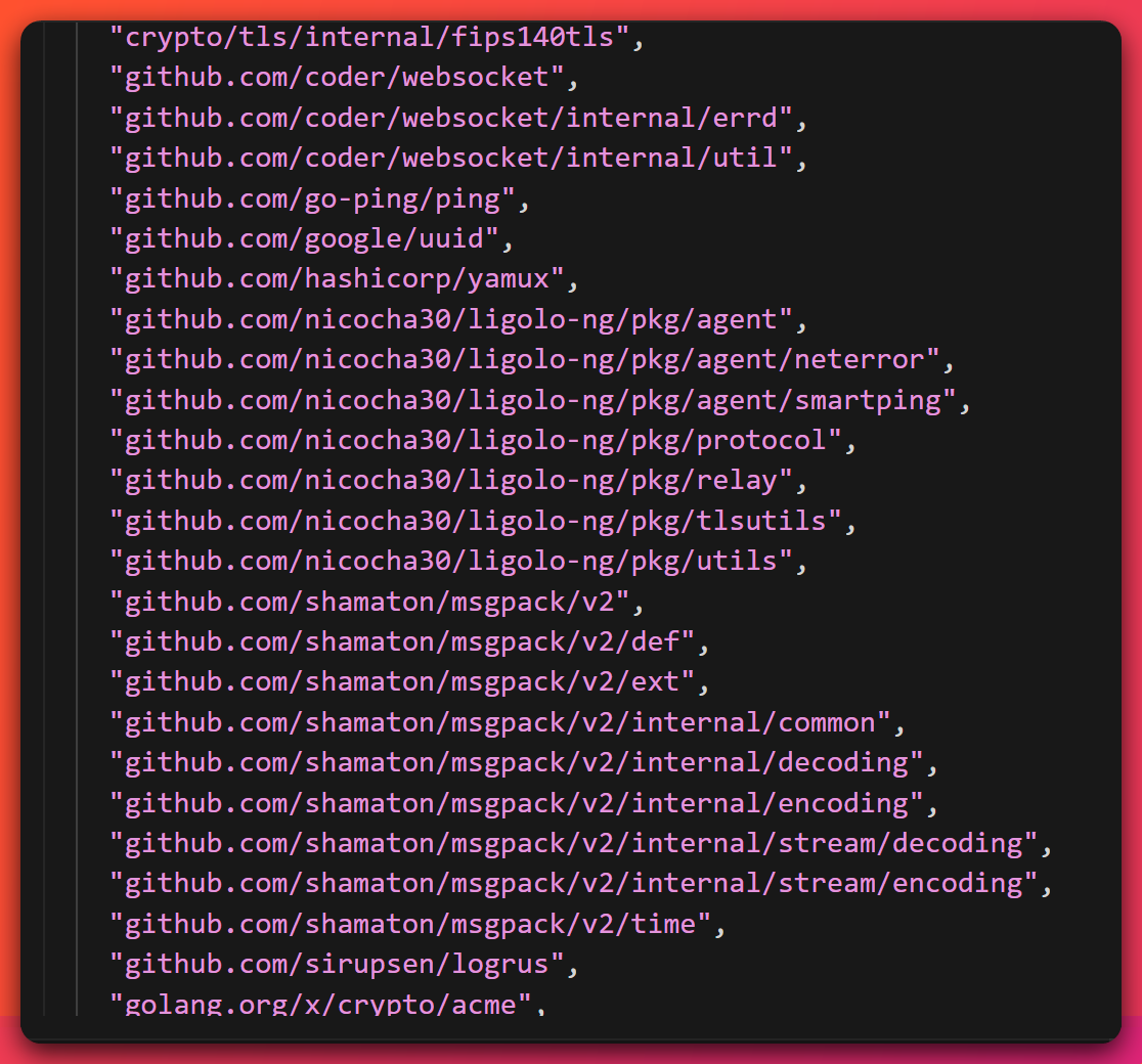 GoReSym output for the Linux ELF agent showing Go import paths including 'crypto/tls/internal/fips140tls', 'github.com/coder/websocket' and its internal subpackages, 'go-ping/ping', 'github.com/hashicorp/yamux', multiple 'github.com/nicocha30/ligolo-ng/pkg/agent', '.../pkg/neterror', '.../pkg/protocol', '.../pkg/relay', '.../pkg/utils', and a series of 'github.com/shamaton/msgpack/v2/...' packages plus 'gopkg.in/sirupsen/logrus' and 'golang.org/x/crypto/acme'