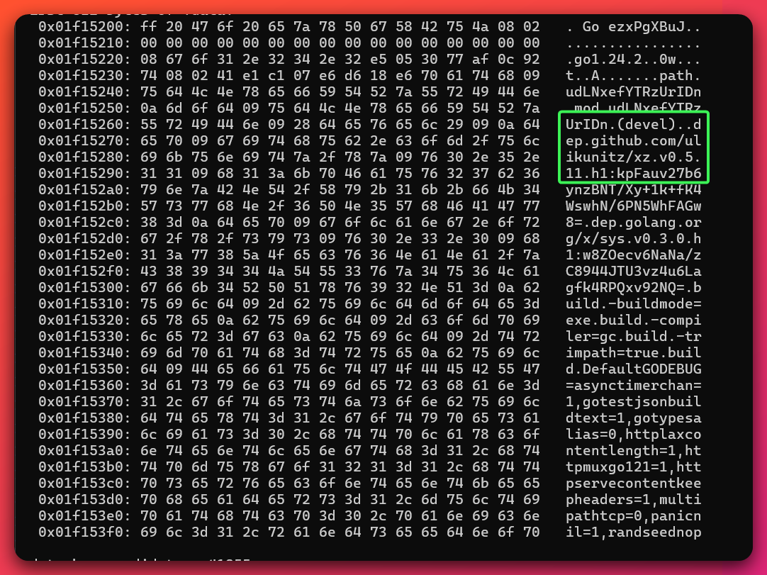 Go build metadata extracted from OneDriveSync.exe showing the ulikunitz/xz GitHub library reference embedded in the binary